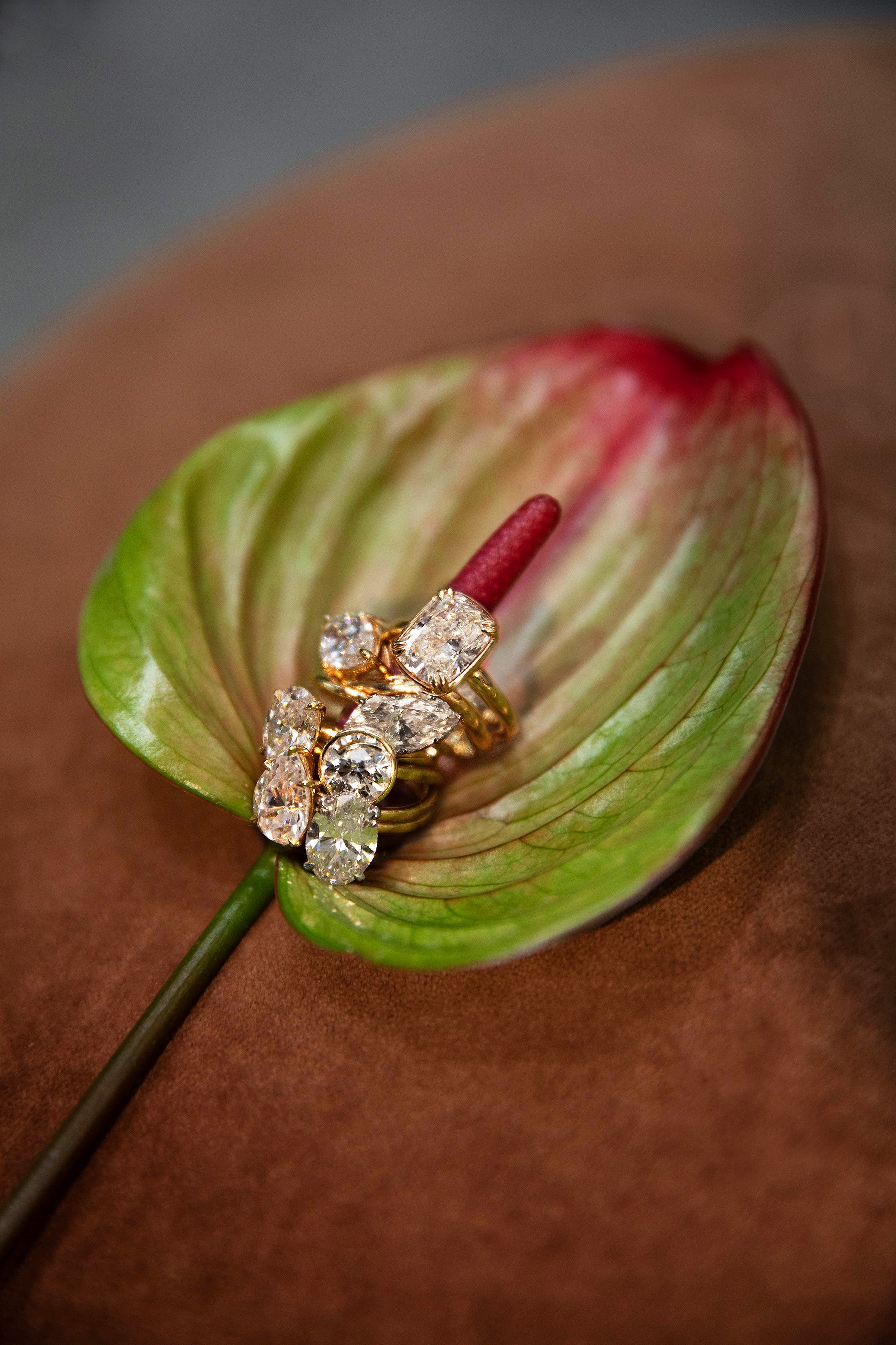 Rings – Alexandra Beth