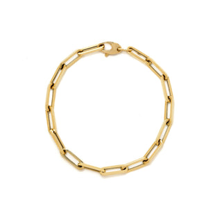 Large Paperclip Chain Bracelet
