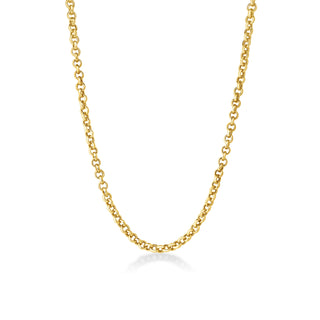 Rolo Chain Necklace